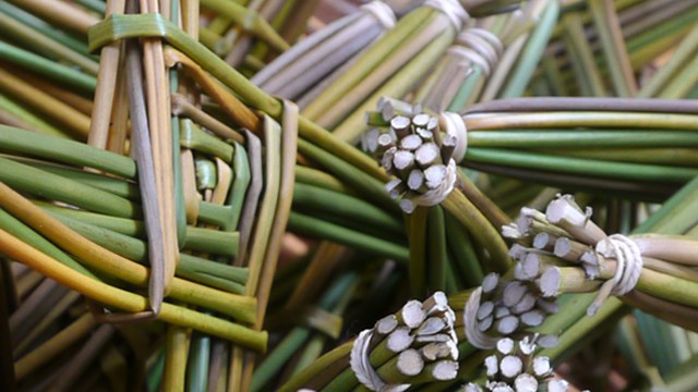 Celebrations for St Brigid’s Day in Louth