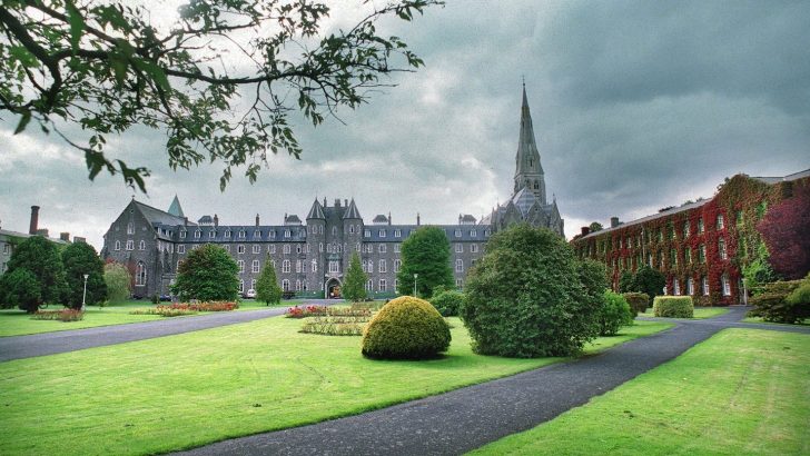 Maynooth: ready for a vocations reboot?