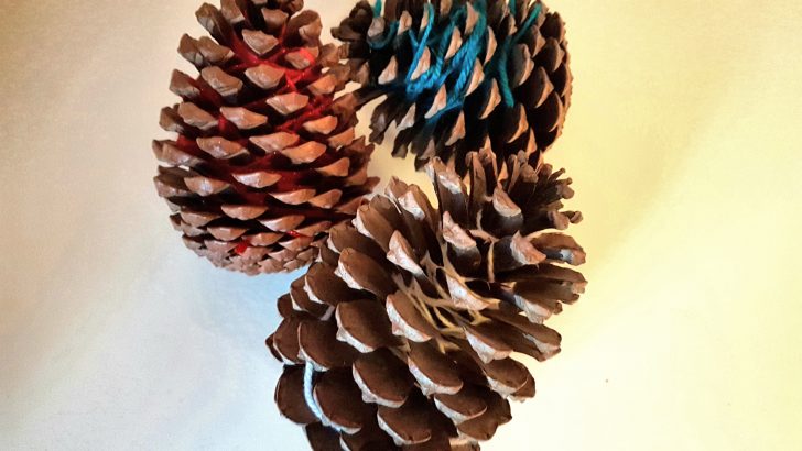 Pine cone crafts ideas following a forest forage