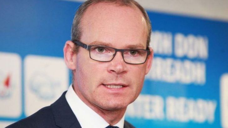 Coveney’s response to Cardinal Zen arrest ‘tame’, says TD Carol Nolan