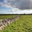 ‘Ask the fellows who cut the hay’: rural life and the making of Irish society