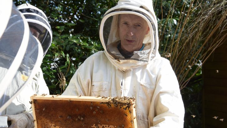 To bee or not to bee in an Irish monastery