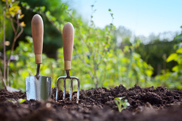 Longer, warm evenings make gardening a treat