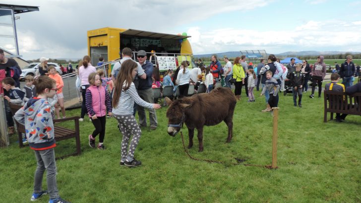 Cashel & Emly Family Fun Day – joy for all in Tipp Racecourse