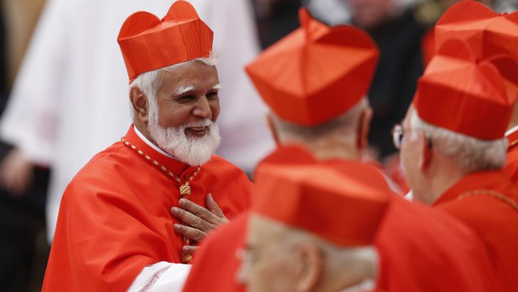 Climate in Islamic nation requires restraint, says Pakistan’s new cardinal