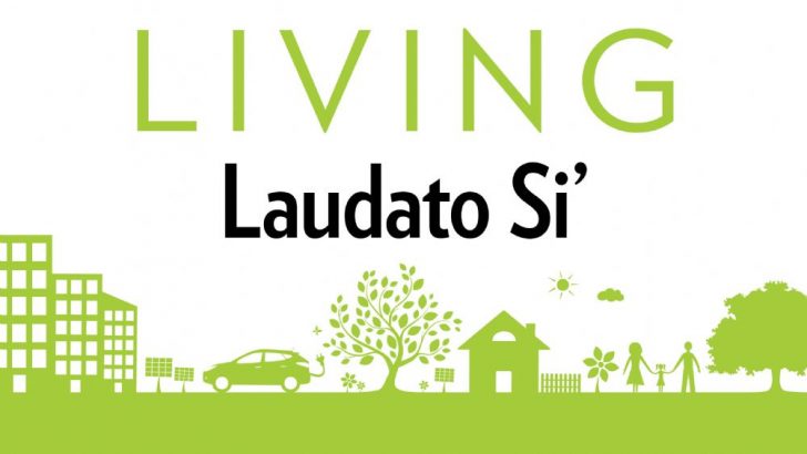 Safeguard future generations bishop warns during Laudato Si’ Week