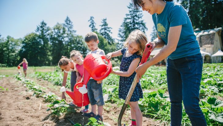 First NI community-owned farm to be established