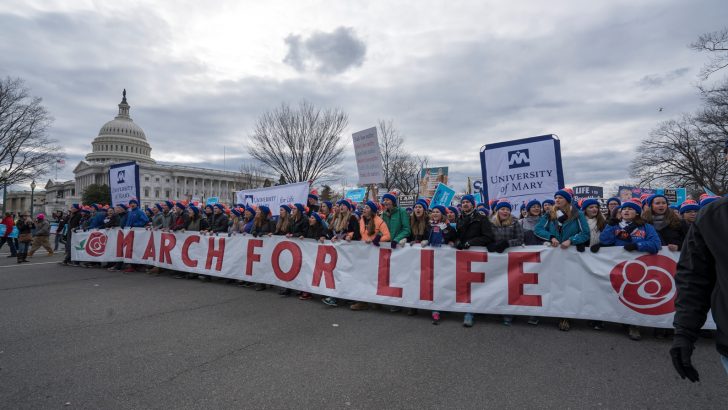 Science proves life starts at conception is theme of 2019 US march