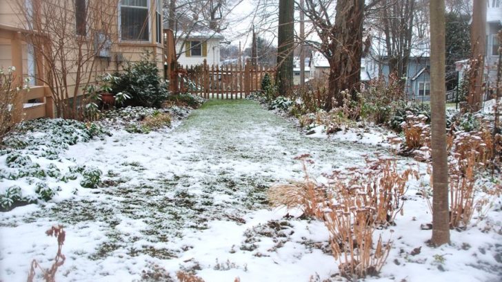 Your garden will soon wake from its winter sleep