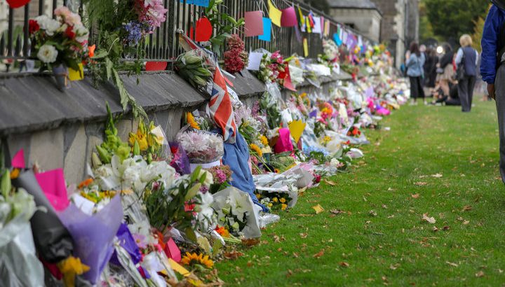 Pope and New Zealand bishops hold Muslims in prayer after attacks