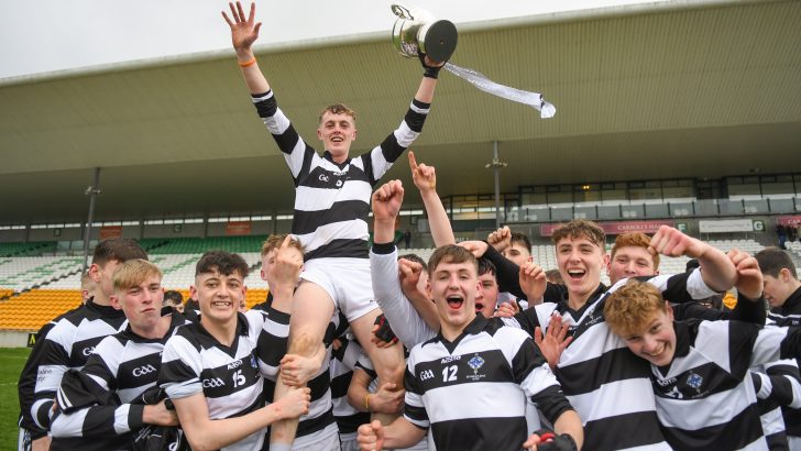 Ossory bishop ‘delighted’ over hurling win