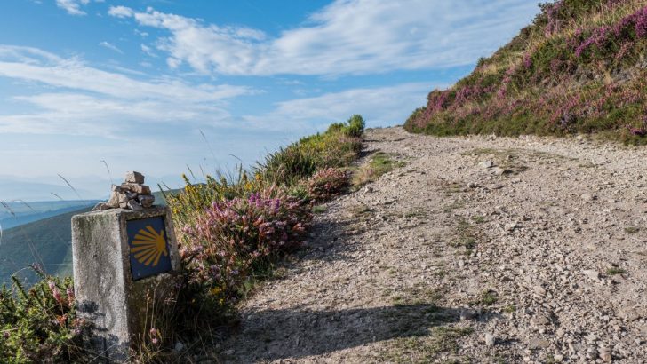 Bringing the Camino home