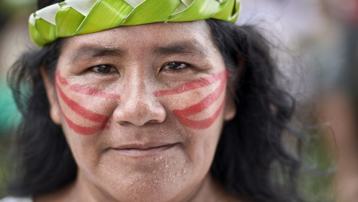 Understanding the debate over married priests at the Amazon synod