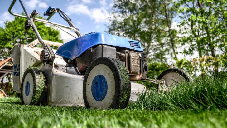 Trimming the longest of late summer lawns