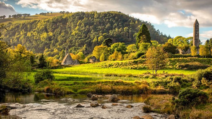 An Ireland that’s becoming increasingly for the birds