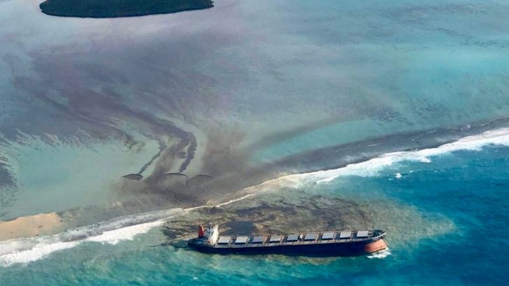 Mauritius cardinal praises outpouring of solidarity after oil spill