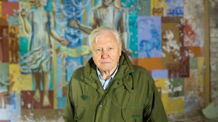 The remarkable St Francis, Fratelli Tutti and David Attenborough