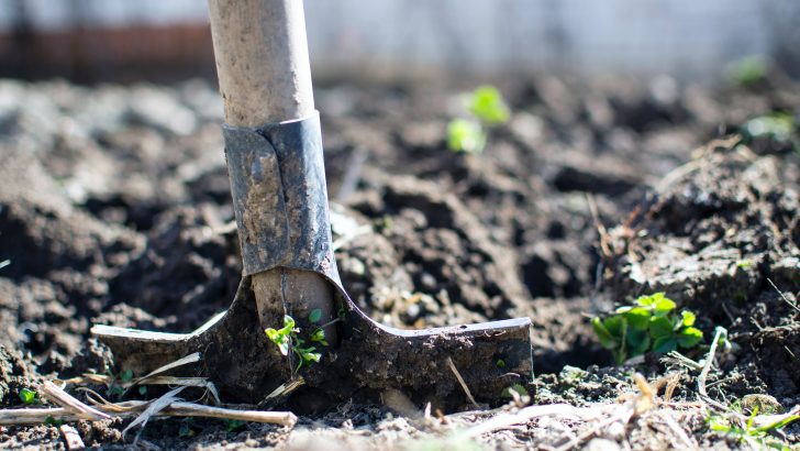 Putting the garden to bed