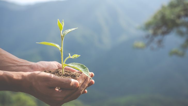 Bishop Hayes encourages action to sustain creation on ‘Environment Day’