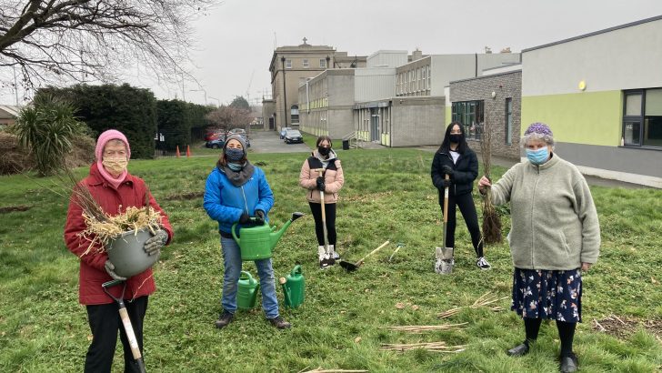 Students and sisters get hands dirty for ‘pocket forest’ at Loreto College Crumlin