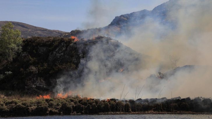 Watching in horror as Killarney National Park burned