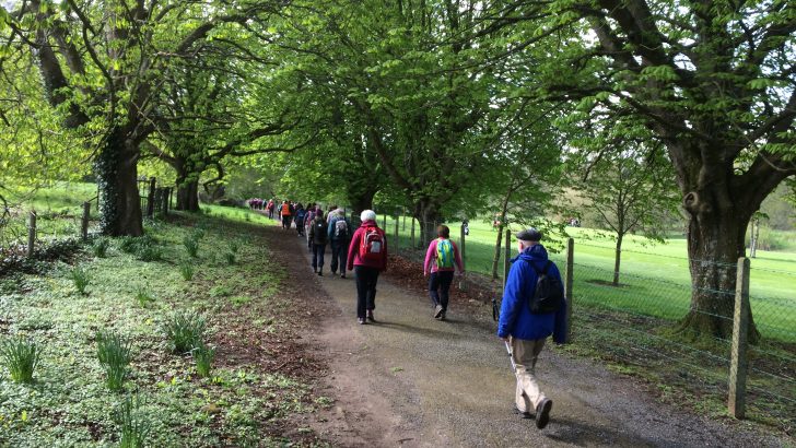 Hundreds take to new Irish Camino trail