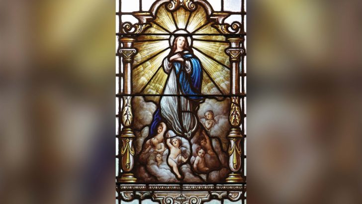 Uncovering Mary’s glorious assumption