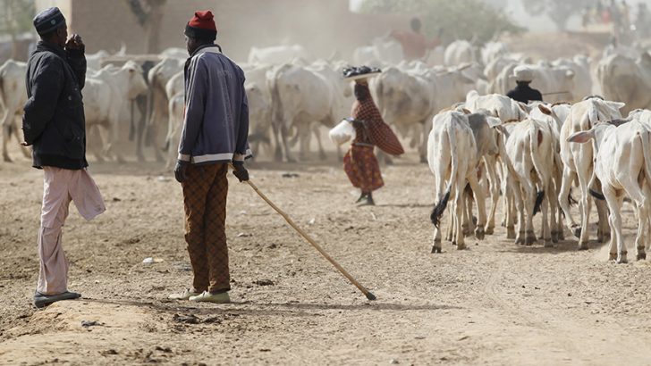 Attack on Christians in Nigeria described as a ‘massacre’ by Catholic priest