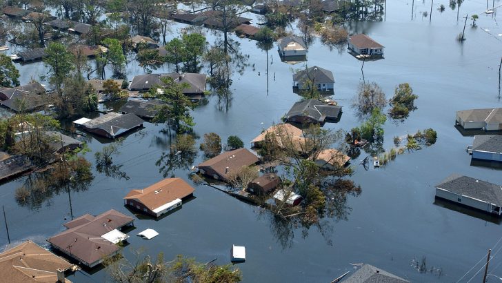 US archdiocese to pay $1 million for ‘fraudulent’ Hurricane Katrina claims