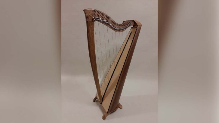 The inspiring story of a Dominican harp school