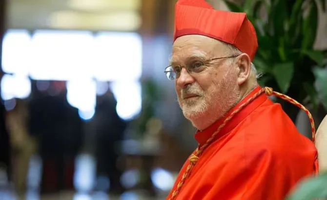 Nordic bishops: German ‘Synodal Way’ fills us with worry