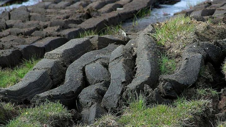 Alternatives needed to turf selling as rural Ireland feels ‘abandoned’