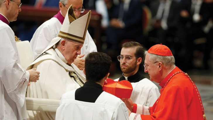 Pope Francis creates 20 cardinals for the Church