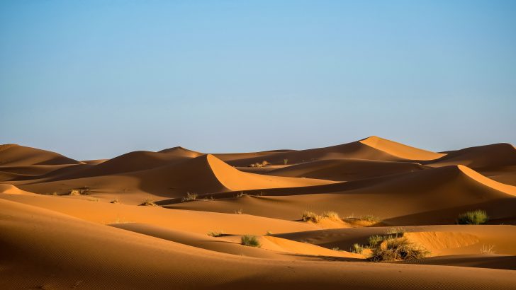 Dying alone in the desert