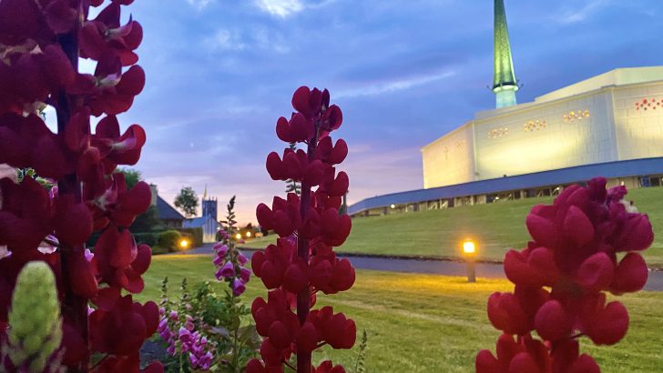 Knock Shrine to Launch €1.5m ‘Youth Village’ this summer