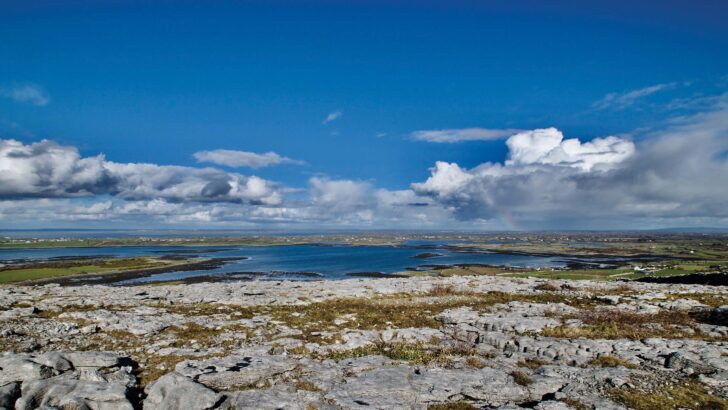 New Burren farming plan branded a ‘step backwards’