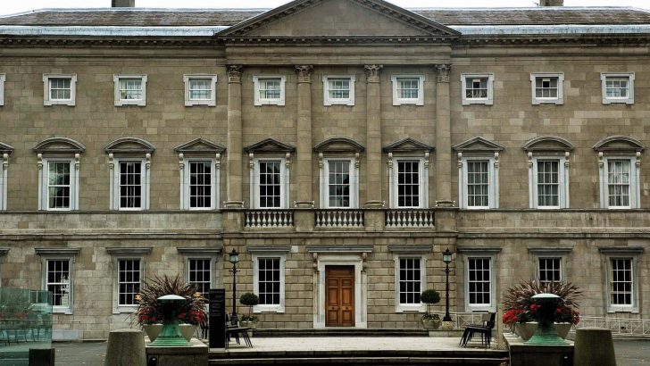 Leinster House in the life of the Nation