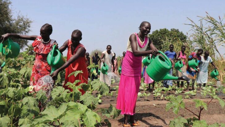 ‘Delight’ as Jesuit agricultural project in Africa wins award