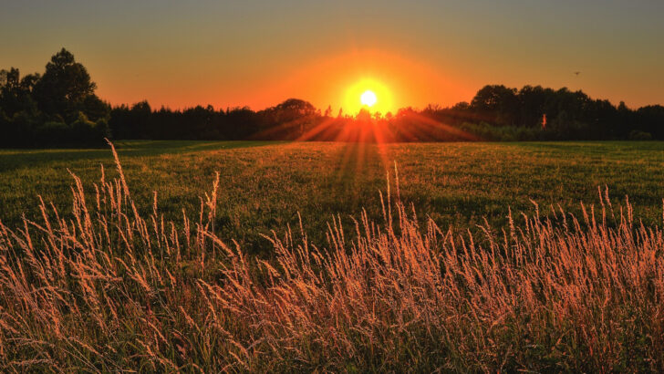 Staring into the light…