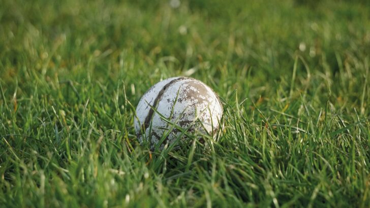 Senior hurling dedication needed among laity