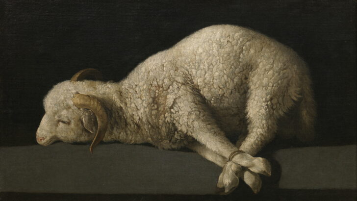 The Lamb of God who takes away the sin of the world