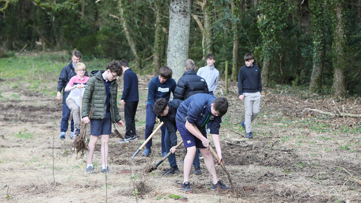 Enhancing biodiversity at Glenstal Abbey