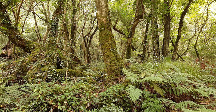 One man’s crusade to save the relics of our ancient landscapes