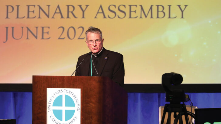 US bishops: abuse allegations down but challenges remain to protect vulnerable