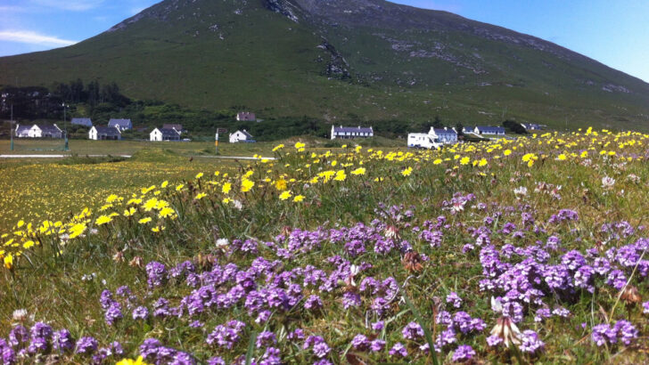 A poet’s search for true faith through an Achill Island childhood