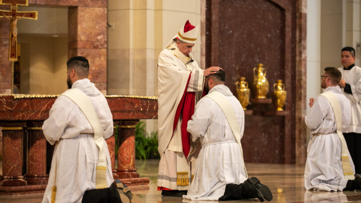 Healing nun: Healthy families not female priests are the answer to vocations dearth