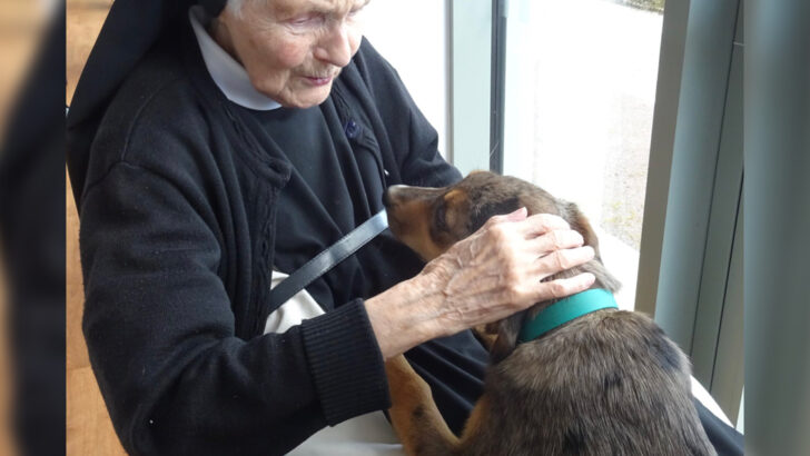 ‘Kind, gentle’ Cistercian Mother Agnes O’Shea dies aged 92