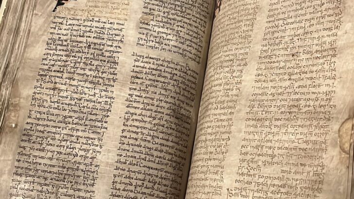 Famous Irish manuscript returns from France for display