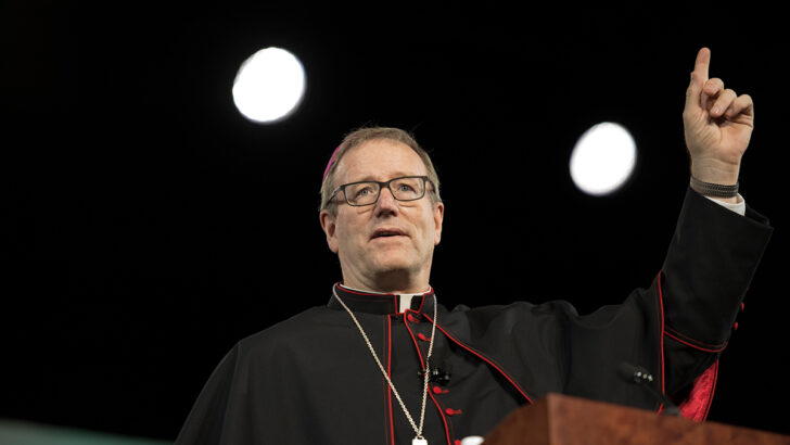 Bishop Barron expresses frustration with Synod’s conclusions on sexuality