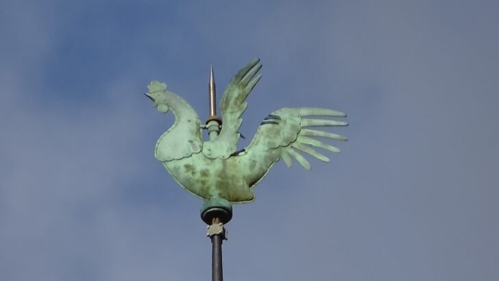 Damaged Notre-Dame Cathedral in Paris has a cockerel again